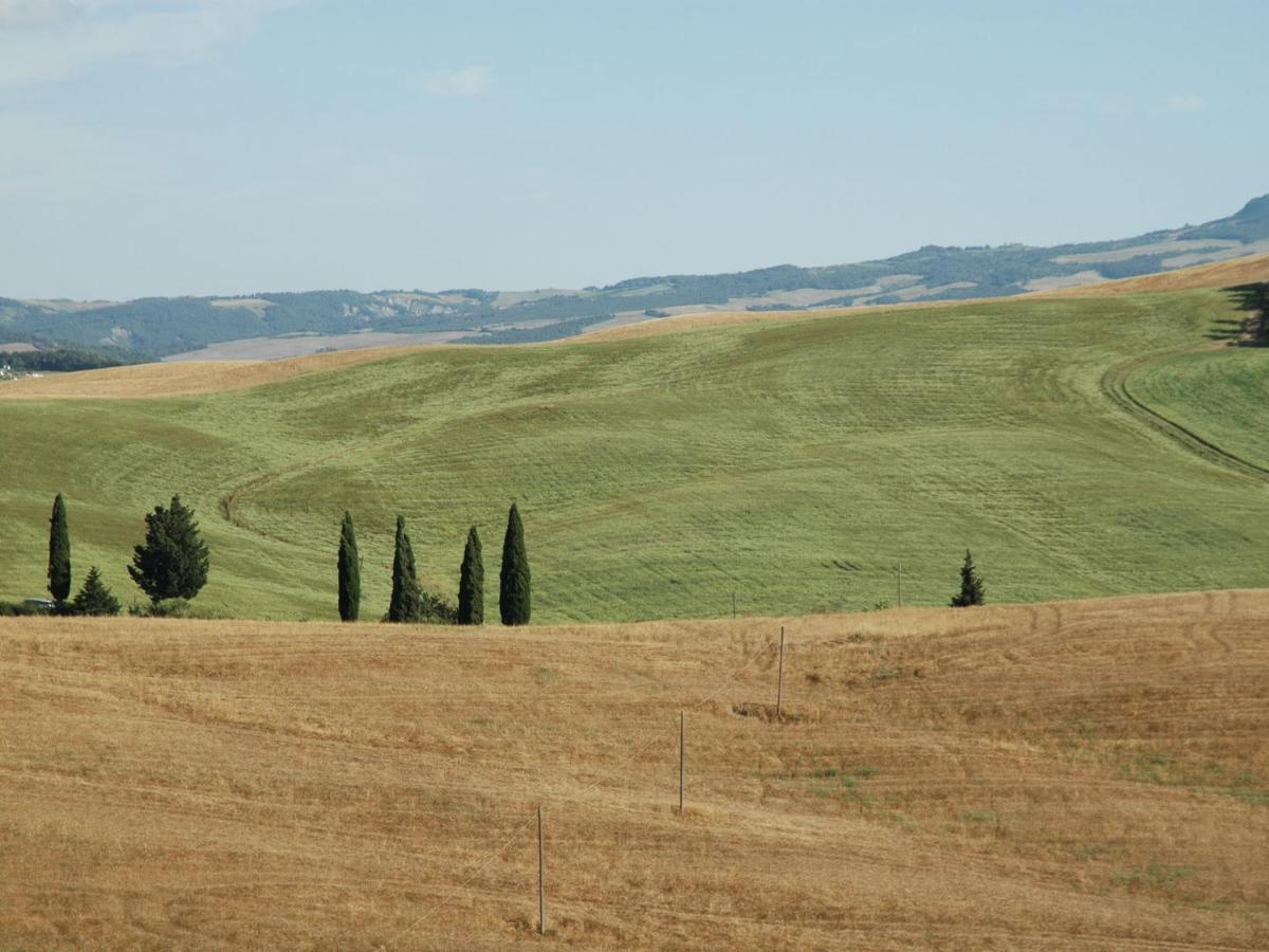 Spacious Farmhouse In Pienza With Swimming Pool Apartment Contignano Екстериор снимка